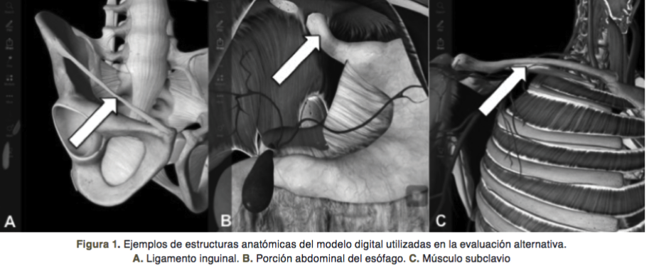 http://www.riem.facmed.unam.mx/ojs/index.php/riem/article/download/64/75/197